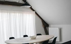 Gezellige loft met twee slaapkamers